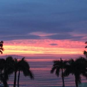 Meet your Posher, Bill ann